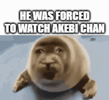 He Was Forced To Watch Akebi Chan GIF