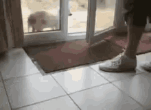 Dog Wiping Feet Doormat GIF - Dog Wiping Feet Doormat GIFs