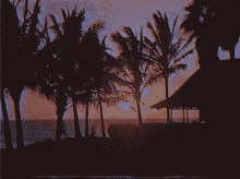 Aesthetic Beach GIF - Aesthetic Beach Sunset GIFs