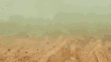 a body of water with a sandy shoreline and a green water .