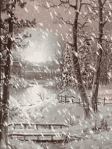 Snowing Winter GIF - Snowing Winter Lake GIFs