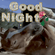 Bbluemanou Horse GIF - Bbluemanou Horse Good Night GIFs