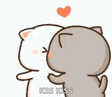 a couple of cats are kissing each other with a heart in the background .