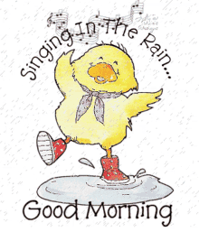 bird singing in the rain good morning cute duck
