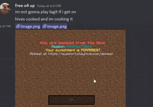 a screenshot of a minecraft game that says ok