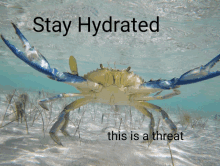 Crab Hydrate GIF - Crab Hydrate GIFs