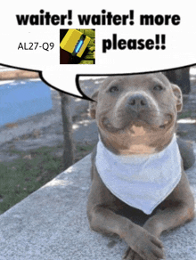a dog wearing a bandana with a speech bubble saying waiter waiter more please