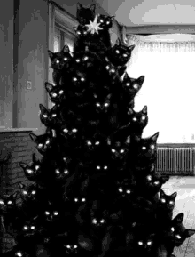 Christmas Tree Cats GIF - Christmas Tree Cats Eyes GIFs