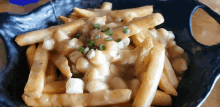 Poutine Cheese GIF - Poutine Cheese Fries GIFs