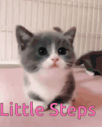 Kitten Tiny GIF - Kitten Tiny Adorable - Discover & Share GIFs