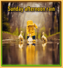 Sunday Afternoon Rain GIF - Sunday Afternoon Rain GIFs