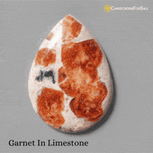 Garnet In Limestone Garnet In Limestone Meaning GIF