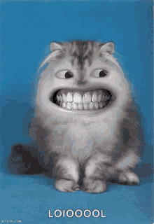 Smile Big Smile GIF - Smile Big Smile Cats GIFs