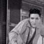 Elvis Elvispresley GIF - Elvis Elvispresley Elvis Movie GIFs