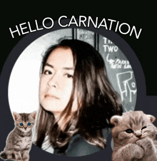 Hello Carnation Artist GIF