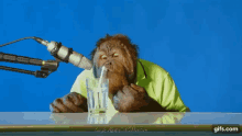 Orangutan Drinking GIF - Orangutan Drinking Asmr GIFs