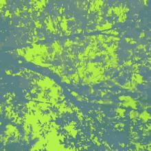 Toxic Toxic Green GIF - Toxic Toxic Green Toxic Lake GIFs