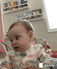 Surprised Baby GIF - Surprised Baby Shocked GIFs
