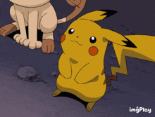 a gif of a pikachu with the words imgplay at the bottom right