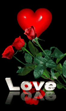 love you red rose heart roses
