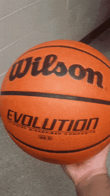 wilson sporting goods basketball wilson wilson evolution basketball