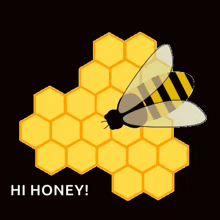 Honey Bee GIF - Honey Bee GIFs