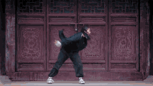 back fist move attack drunken boxing kung fu