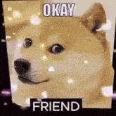 a doge with the words `` okay friend '' on it .