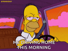 Homer Simpson Just Stoned GIF - Homer Simpson Just Stoned Chilled GIFs