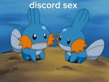 Discord Sex Mundkip GIF - Discord Sex Mundkip GIFs