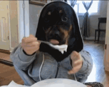 Funny Animals Dogs GIF - Funny Animals Dogs Eating GIFs