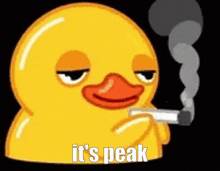It'S Peak Smoking Duck GIF