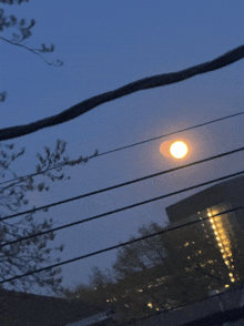 Moon To The Moon GIF
