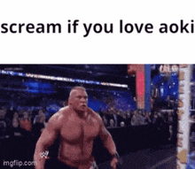a picture of a wrestling match with the caption scream if you love aoli