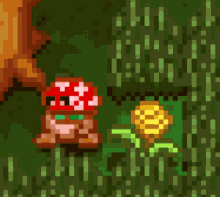 Serin Fate Mushroom GIF - Serin Fate Mushroom Magic GIFs