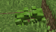 Minecraftfrog Creepersstuff GIF