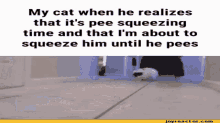 Pee Squeezing GIF - Pee Squeezing Squeeze GIFs