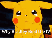 Why Bradley GIF - Why Bradley GIFs