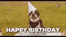 Happy Birthday Dog GIF - Happy Birthday Dog Hbd GIFs