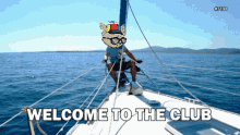 Bored Cat Boat Club GIF - Bored Cat Boat Club GIFs