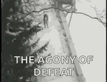 The Agony Of Defeat Slide GIF - The Agony Of Defeat Slide Snow GIFs