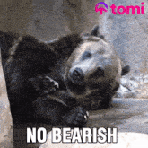 No Bearish GIF - No Bearish Bear GIFs