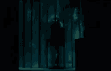 a dark room with a shadow of a person behind bars