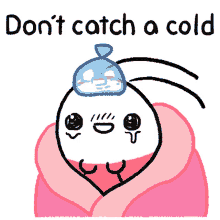 flu cold