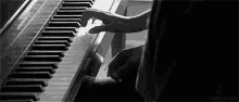 piano playing musician music hands