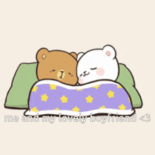 a couple of teddy bears laying under a blanket with the words me and my lovely boyfriend