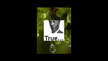 a picture of a man in a suit with the words true below it
