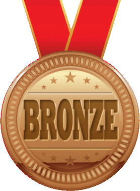 3rd Place Bronze Sticker - 3rd Place Bronze Medal Stickers