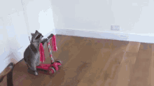 Goodbye Forever Friends GIF - Racoon Animals Scooter GIFs