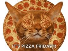 Pizza Cats GIF - Pizza Cats GIFs